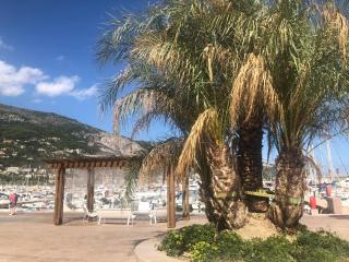 le petit bateau - Menton - 6