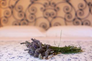 Country House Villa Sabrina - San Ginesio - 5