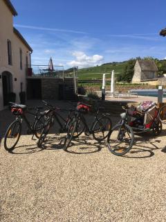 La Maison des Rugiens - 9