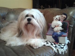 Mini Hostel Fine Art - 6