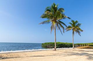 Fisher Inn Resort & Marina - Islamorada - 4