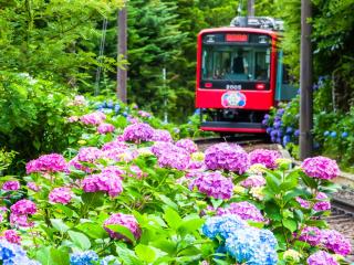 Fukushimakan - Hakone - 7