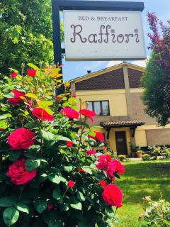 B&B Raffiori - Asís - 2