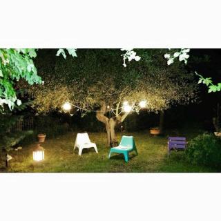 La casa di Zia Mimina - Civitella Casanova - 4