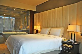 Royal International Hotel Shanghai - Pudong International Airport - Shanghai - 8