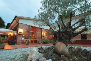 Hotel Giuly - Torre del Lago Puccini - 8