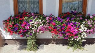Haus Edlinger inclusive Murau Sommer Gäste Card - Sankt Georgen ob Murau - 7