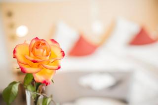 City-Hotel garni - 4