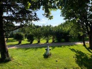 Galeria In The Garden - 6