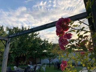 Galeria In The Garden - 3