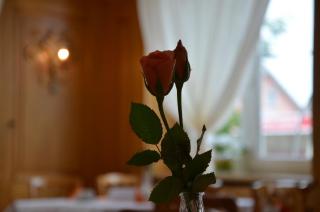Hotel KRONE Kressbronn am Bodensee - Kressbronn am Bodensee - 3