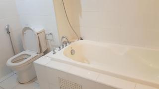 1room Publika - 2