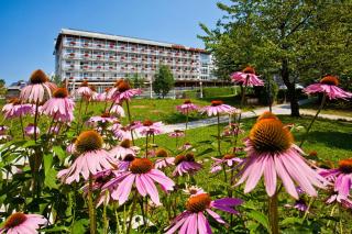 Bled Rose Hotel - Bled - 7