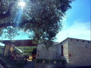 Country House at Alexandroupoli (Dikella) - Makri - 0