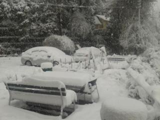 Hotel Padmini NIvas - 7