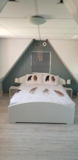 B&B Beemsterlust - 3