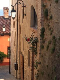 Palazzo d'Assi - Guest house - Monforte dʼAlba - 1