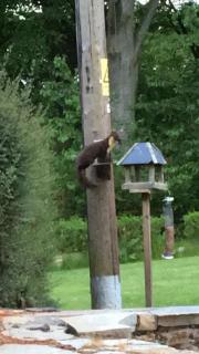 Craig Cottage - Banff - 2