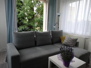 Blue Apartament - Luboń - 7