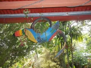 ApartHotel Villa Pacande & Rooms - Alajuela - 5