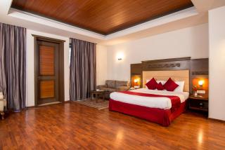 Vikram Vintage Inn - Nainital - 5