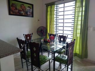 Excelente Casa vacacional - Flandes - 3