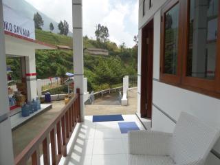 Savana Guesthouse - Bromo - 6