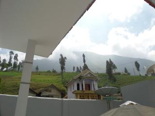 Savana Guesthouse - Bromo - 3