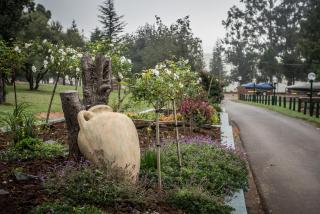 First Group Qwantani - 7