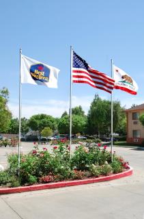 Best Western Antelope Inn & Suites - 5