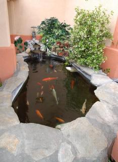 Best Western Antelope Inn & Suites - 1