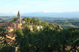La Basiglia B&B - Monforte dʼAlba - 5