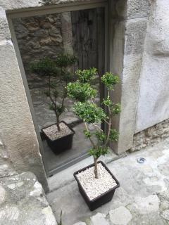Yuba - Aragon home holiday - Montalbano Elicona - 6