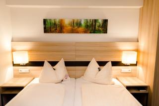 TaunusTagungsHotel - Friedrichsdorf - 8