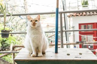 Mambembe Hostel - Rio de Janeiro - 7