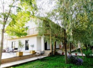 Green Coffee House - Sulina - 8