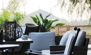 Green Coffee House - Sulina - 6