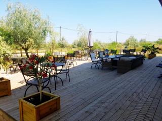 Green Coffee House - Sulina - 4