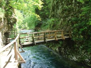 Bled Rose Hotel - Bled - 6