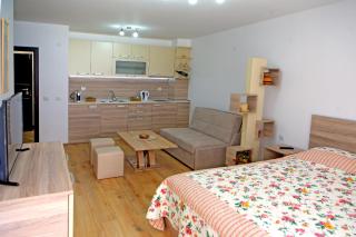 Studio Top City Center - Sandanski - 1