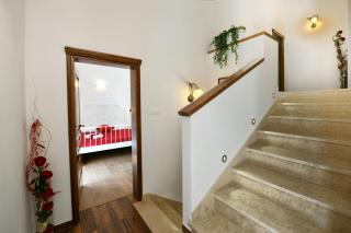 Villa Emilia - Vižinada - 1