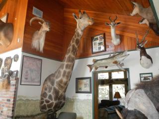 Whitebird Summit Lodge - Grangeville - 1