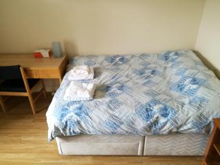 Montague Street Apartment - Edimburgo - 8