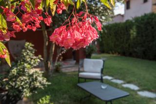 Villa Goccia di Vino - 4