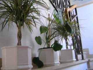 Apartments Paloma Blanca - Medulin - 1