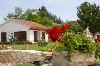 Holiday Home Linet - Funtana - 8