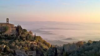 Tuscany View Montalcino - Montalcino - 8