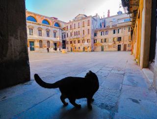 Ca' Perdon Apartment - Venedig - 7