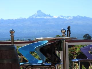 Misty Mountain Lodge - Naro Moru - 4