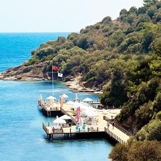 Paloma Pasha - Özdere - 5